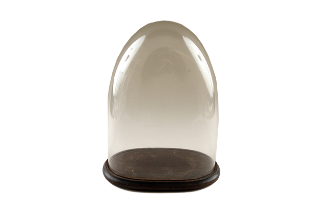 Wick Design Victorian Style Glass Cloche Dome on a Wood Base